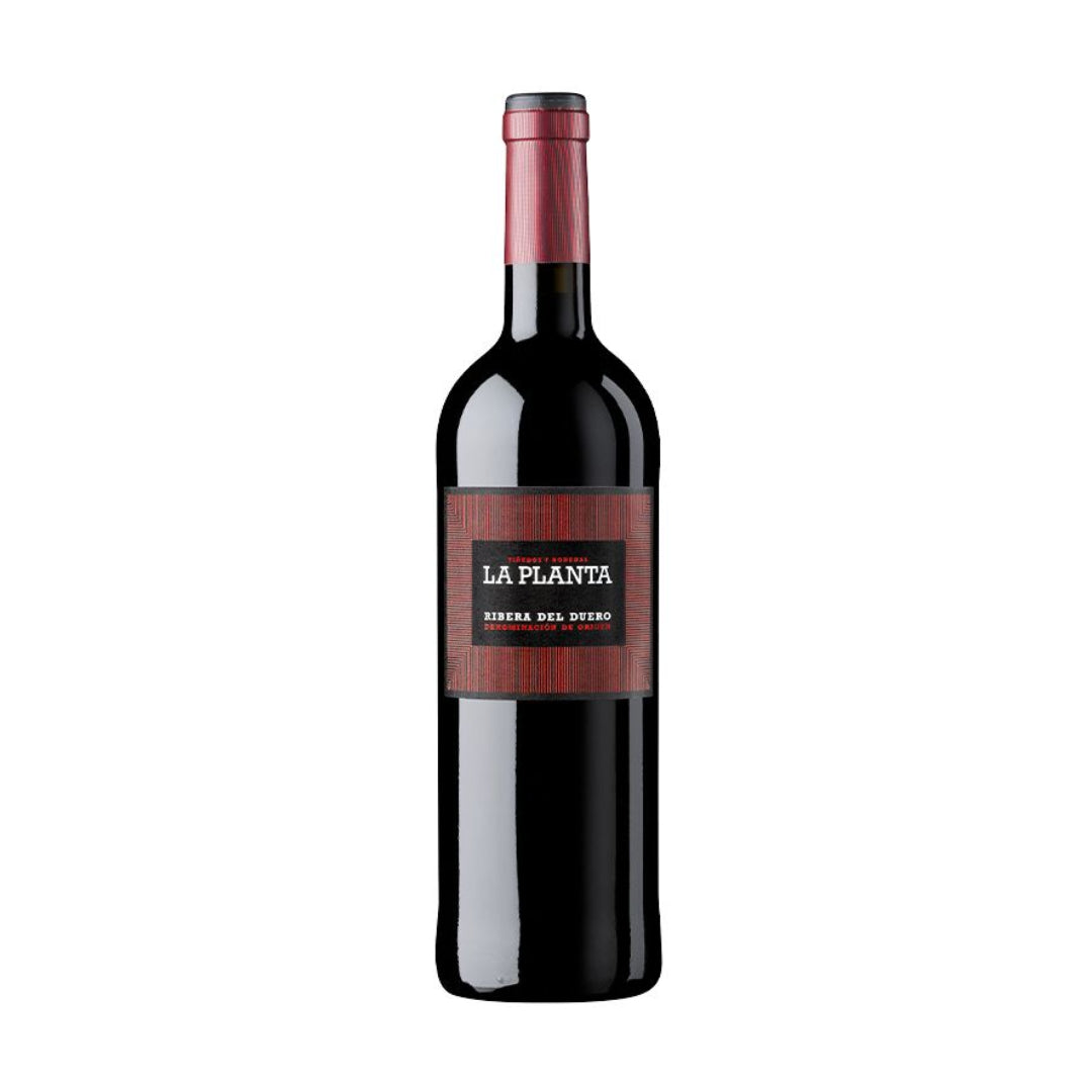 VINO TINTO ARZUAGA LA PLANTA R.D HIJOS DE LUIS RODRIGUEZ, S.A.