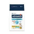 GS ADVANCE STERILISED SALMON SENSITIVE  10 K AFFINITY PETCARE, S.A.U. (5727)