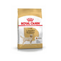 ROYAL CANIN LABRADOR ADULTO 12KG ROYAL CANIN IBERICA TIENDA
