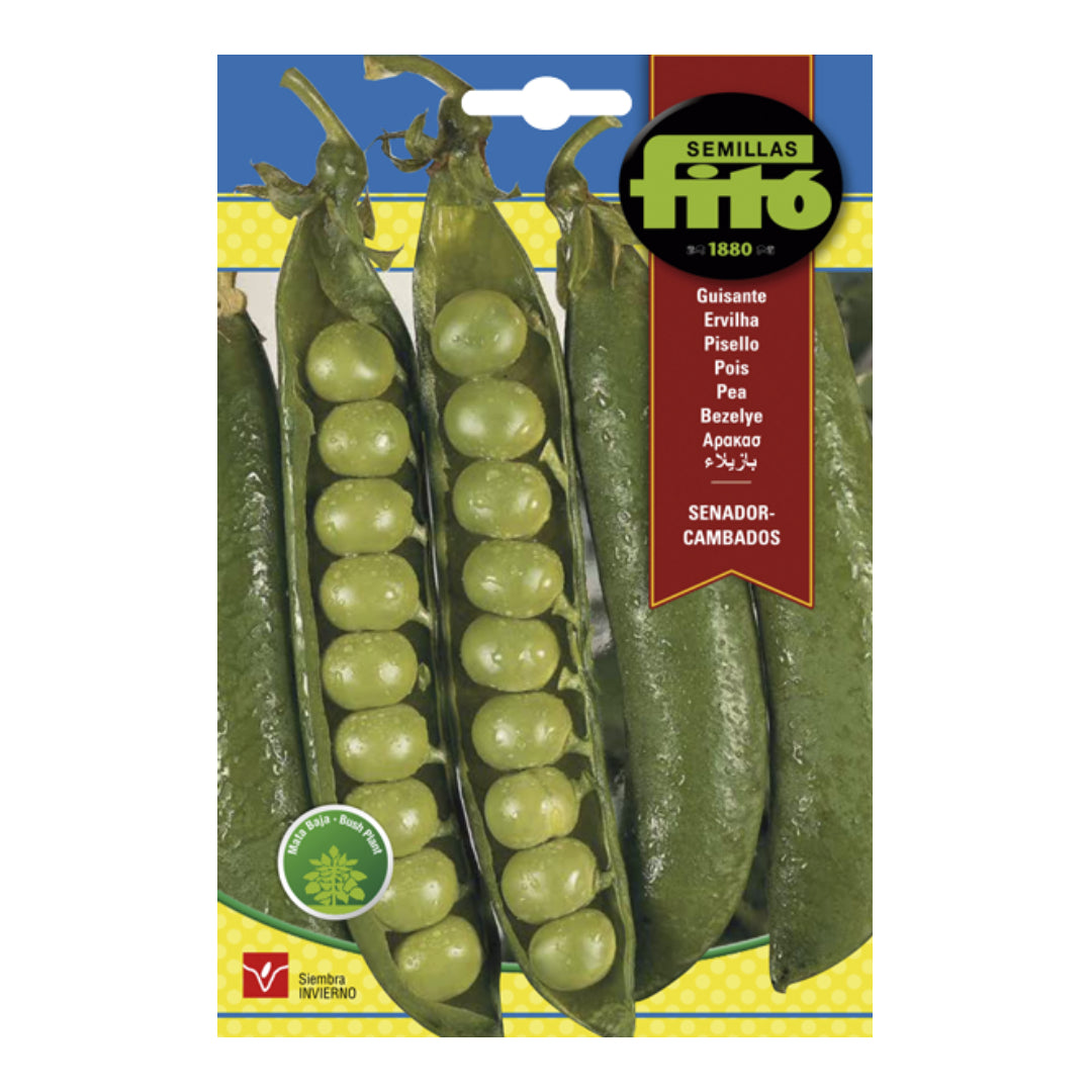 SEMILLA GUISANTE SENADOR 250GR MATA MEDIA-ALTA ASAGRO,SERVICIOS AGRICOLAS S.L.