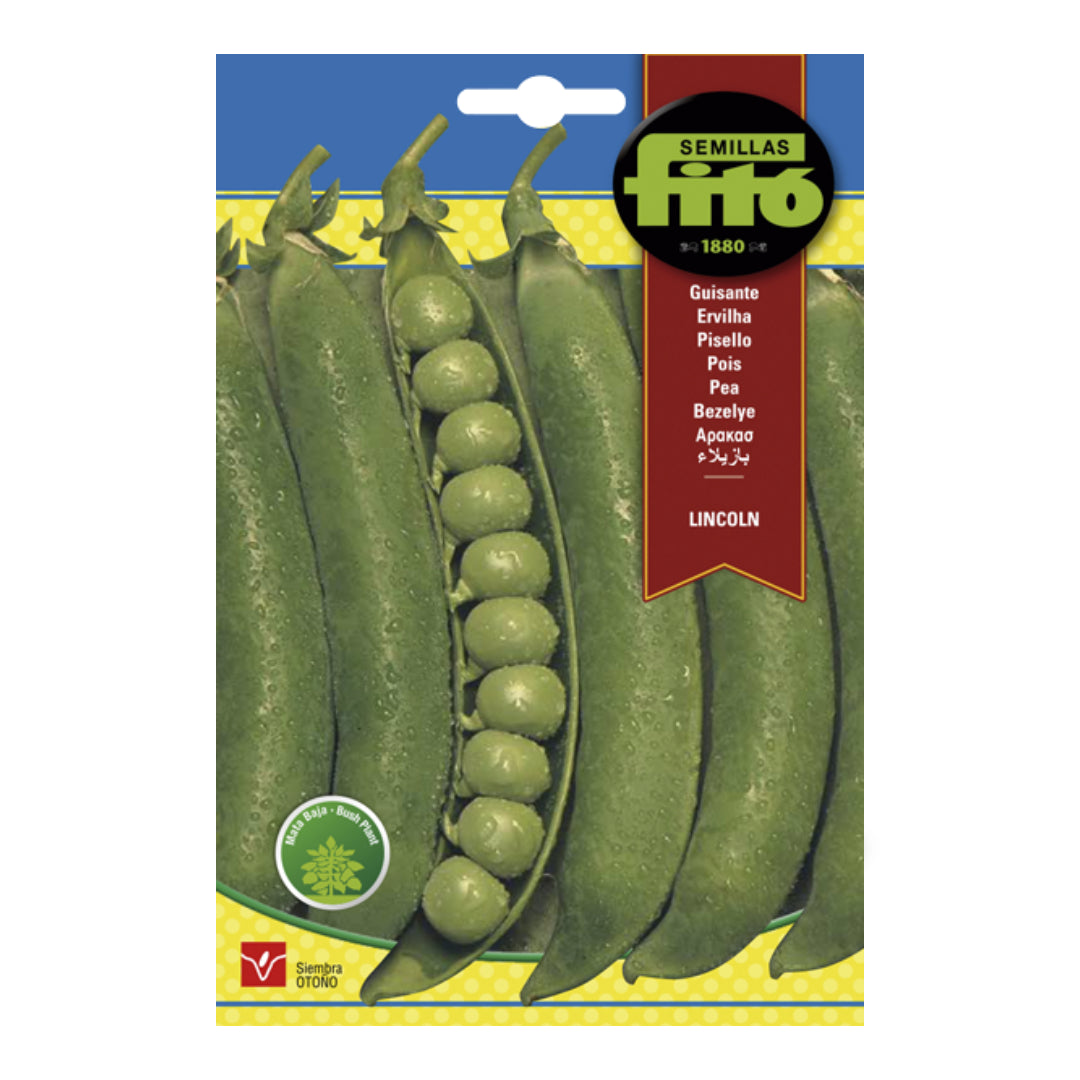 SEMILLA GUISANTE LINCOLM 250 GR MATA BAJA ASAGRO,SERVICIOS AGRICOLAS S.L.