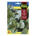 CANONIGOS FITO SB 8G ASAGRO,SERVICIOS AGRICOLAS S.L.