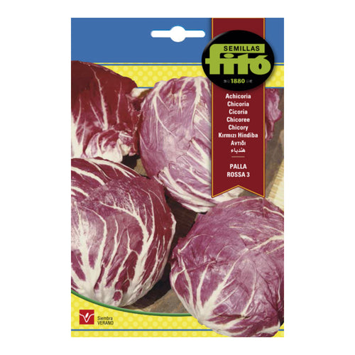 ACHICORIA PALLA ROSSA 6GR FITO SB ASAGRO,SERVICIOS AGRICOLAS S.L.
