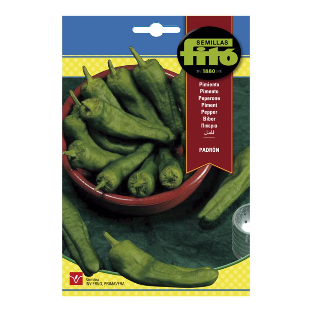 PIMIENTO PADRON 3GR FITO SB ASAGRO,SERVICIOS AGRICOLAS S.L.