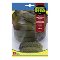 PEPINILLO SMR-58 FITO 10GR SB ASAGRO,SERVICIOS AGRICOLAS S.L.