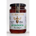 MIEL DE EUCALIPTO REINASTUR T.500GR REINASTUR PRODUCCION APICOLA, S.L.