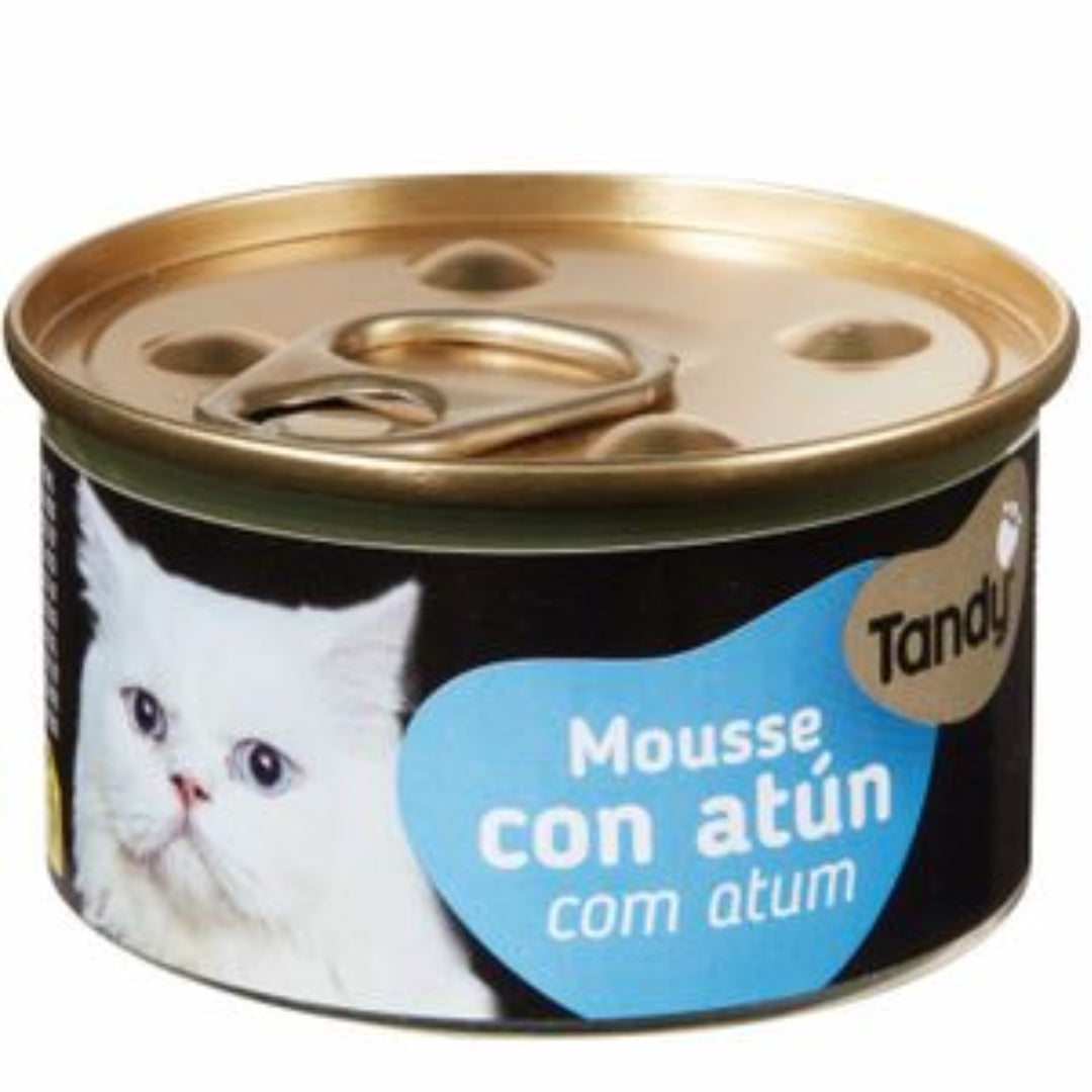 TANDY GS MOUSSE ATUN 85GR HIJOS DE LUIS RODRIGUEZ, S.A.