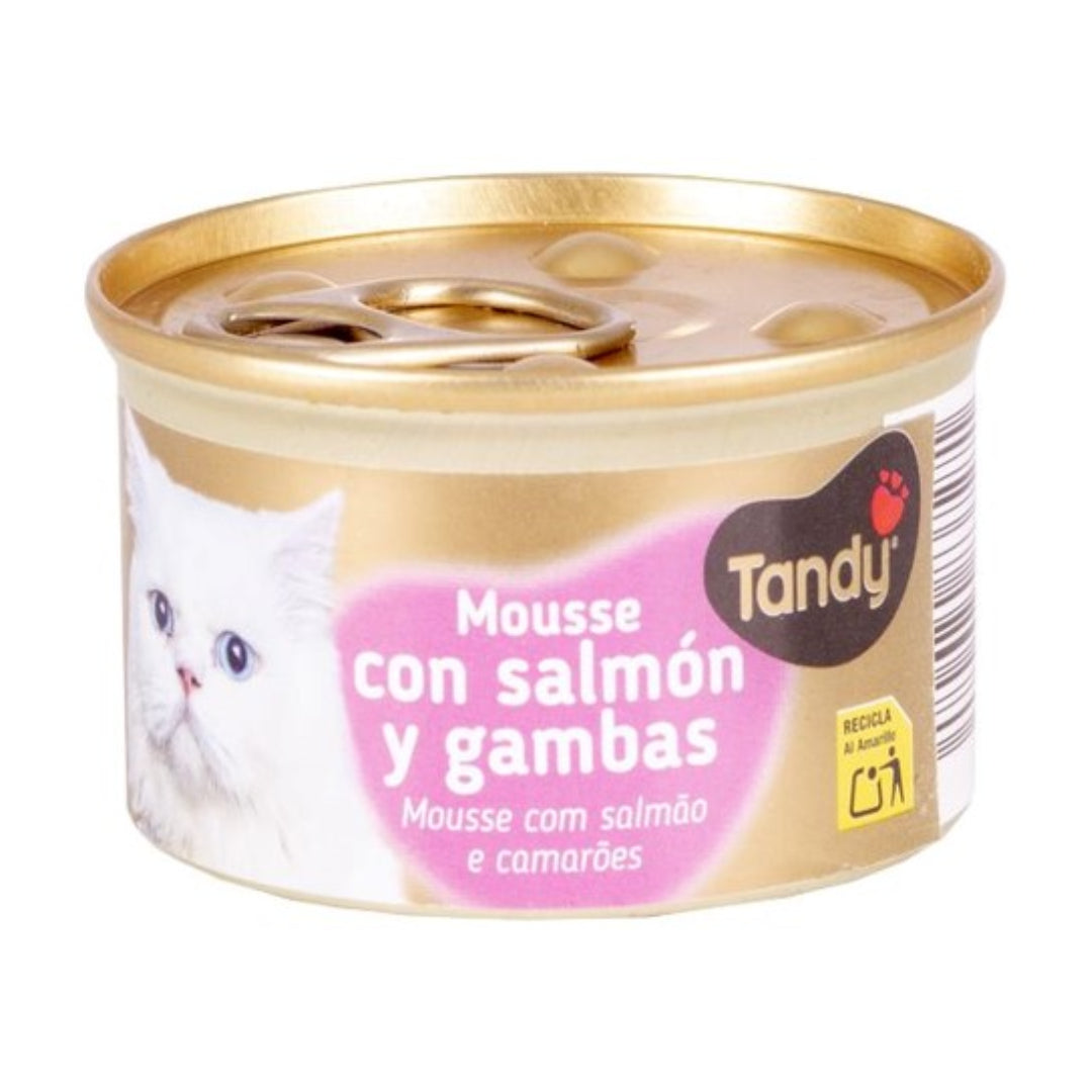 TANDY GS MOUSSE SALMON 85GR HIJOS DE LUIS RODRIGUEZ, S.A.