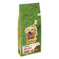 FRISKIES PS ADULTO CARNE 15KG ASTURMASCOTAS PETS S.L.U. (FRISKIES)
