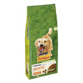 FRISKIES PS ADULTO AVE 15KG ASTURMASCOTAS PETS S.L.U. (FRISKIES)