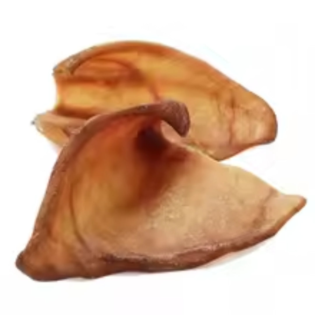 OREJA DE CERDO GRANDE - GLORIA GLORIA PETS, S.L.