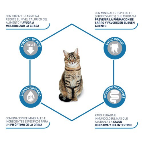 ADVANCE para gatos estirilizados. Pavo. - La Cooperativa