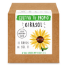 Kit de semillas para plantar tu propio Girasol