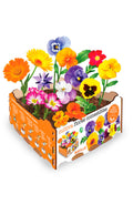Kit huerto urbano premium flores comestibles - La Cooperativa