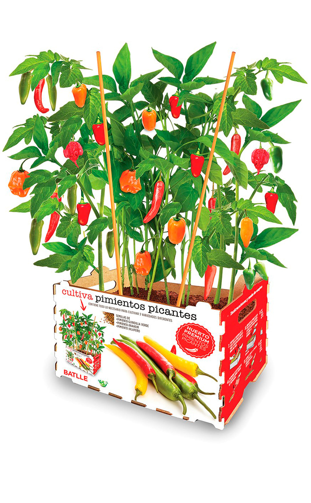 Kit huerto urbano premium pimientos picantes - La Cooperativa